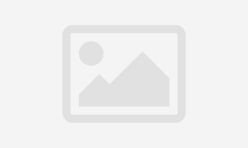 WordPress Course